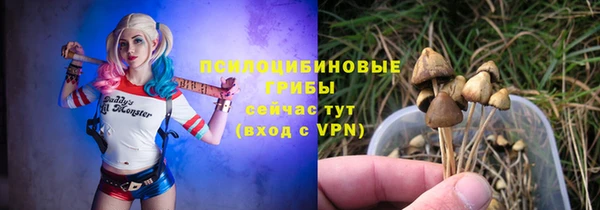 спиды Лагань