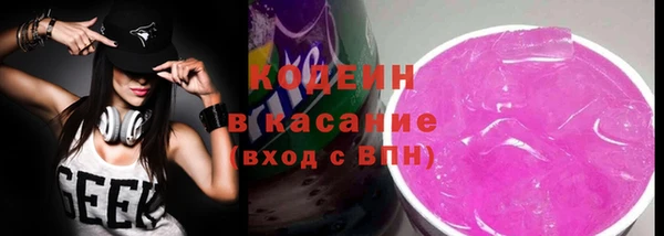 спиды Лагань