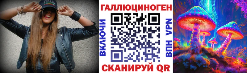 Галлюциногенные грибы Psilocybe  где можно купить наркотик  KRAKEN онион  Тайшет 