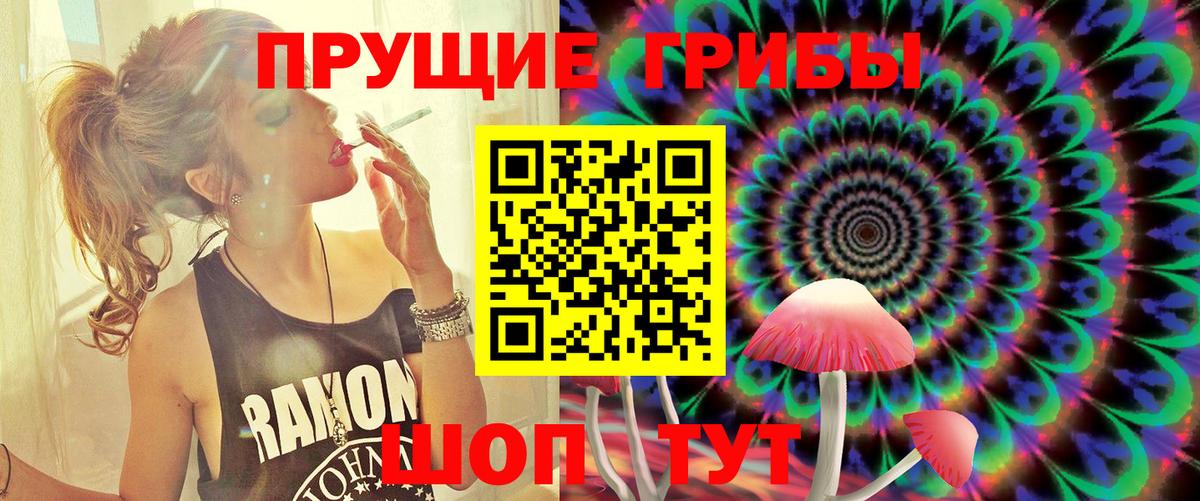 Галлюциногенные грибы Psilocybe Тайшет