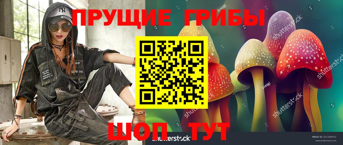 ГАШ Тайшет
