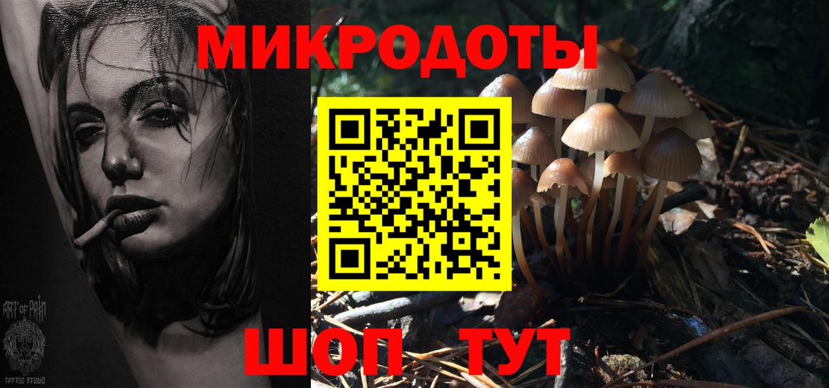 Галлюциногенные грибы GOLDEN TEACHER  Галлюциногенные грибы мухоморы  Вход с VPN  где купить наркотик  Тайшет 